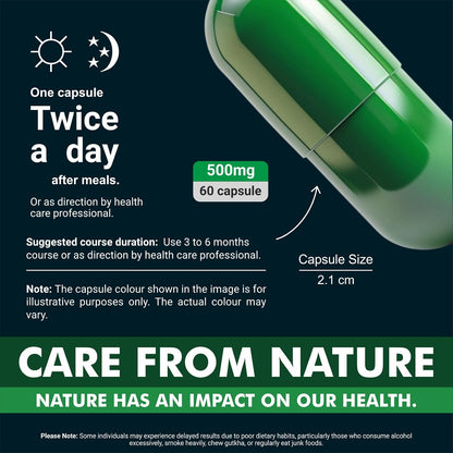 Sahara Pharma Mucuna Capsule | Kapikachu - Cowitch - Kaunch Beej | Support Mood, Healthy Libido, Sperm Quantity & Quality Enhance Physical Stamina and Vitality | Non GMO, Gluten Free, Zero Fillers | 500mg - 60 Capsule