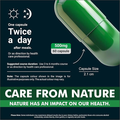 Holy Basil Capsule | Tulsi - Tulasi - Sritulasi - Nalla Thulasi - Sacred Basil | Rich in Vitamins A, C, K, Calcium, Iron, Magnesium, Zinc,, Potassium | Non GMO, Gluten Free, Zero Fillers | 500mg - 60 Capsule